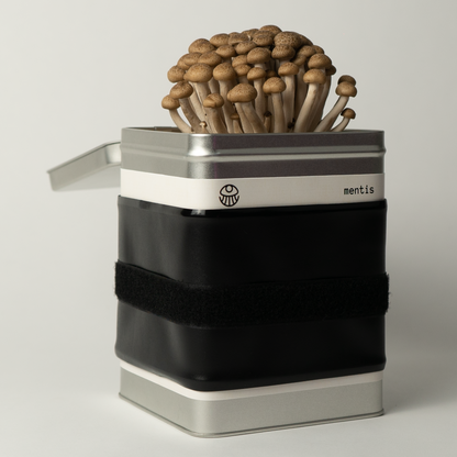 The Mushroom Toolbox – The Fourth Iteration