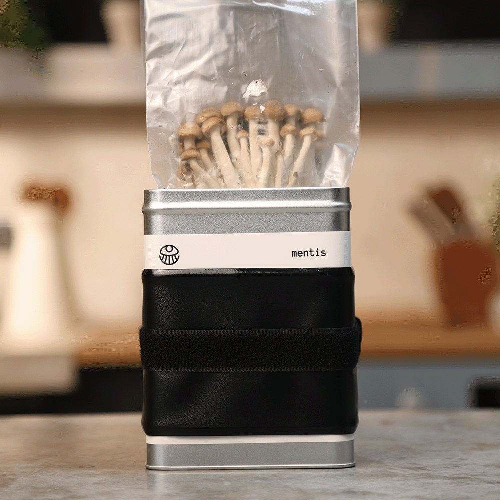 The Mushroom Toolbox – Home Growing Kit - Mentis
