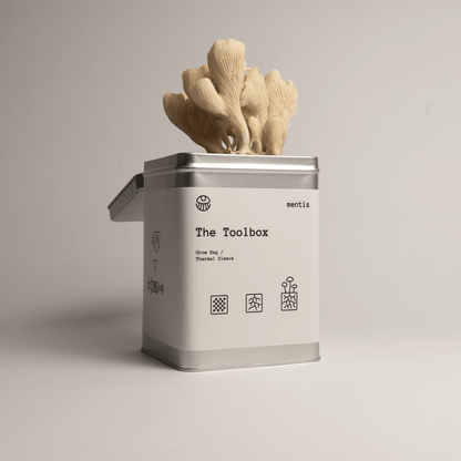 The Mushroom Toolbox – Home Growing Kit - Mentis