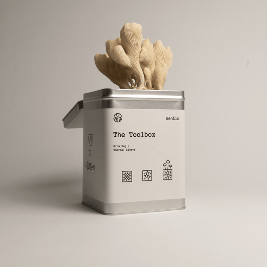 The Mushroom Toolbox – Home Growing Kit - Mentis
