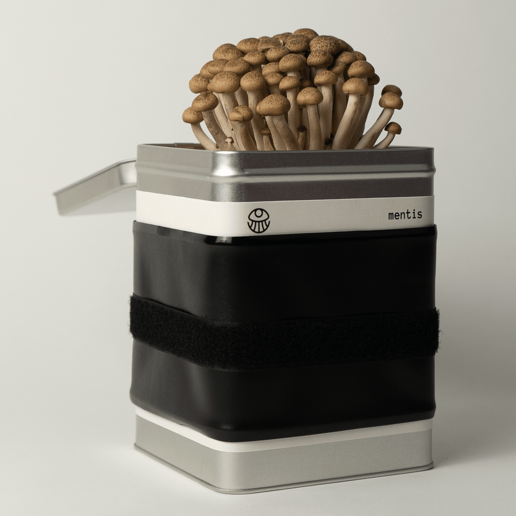 The Mushroom Toolbox – The Fourth Iteration - Mentis